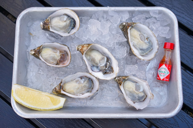 A tray of fresh, delicious oysters on a bed of ice, flanked by a tiny bottle of hot sauce and a slice of lemon
